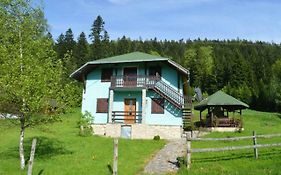 Mystic Forest Hostel